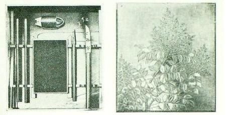 ���R�؎��G����