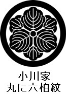 ����ƊۂɘZ����