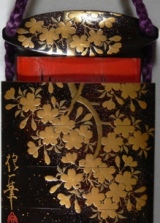 �i�����ʐ^